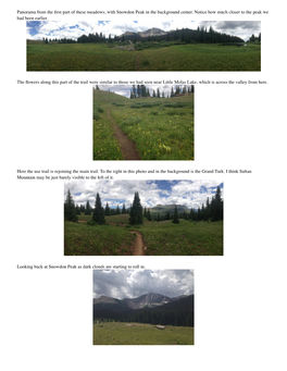 Panorama from the First Part of These Meadows, with Snowdon Peak In