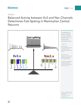 Balanced Activity Between Kv3 and Nav Channels Determines Fast-Spiking in Mammalian Central Neurons