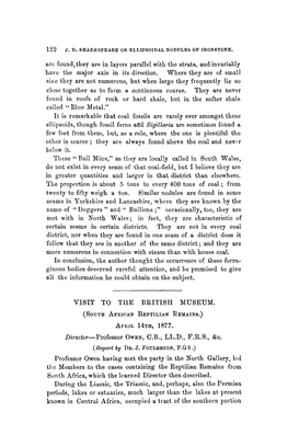 South African Reptilian Remains April 14Th, 1877