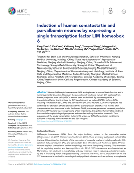 Induction of Human Somatostatin and Parvalbumin Neurons by Expressing a Single Transcription Factor LIM Homeobox 6