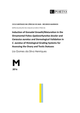 Induction of Gonadal Growth/Maturation in the Ornamental Fishes Epalzeorhynchos Bicolor and Carassius Auratus and Stereological Validation in C