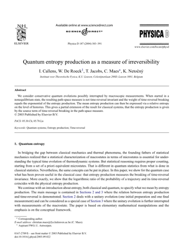 Quantum Entropy Production As a Measure of Irreversibility I