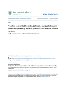 Predation on Juvenile Blue Crabs, Callinectes Sapidus Rathbun, in Lower Chesapeake Bay: Patterns, Predators, and Potential Impacts