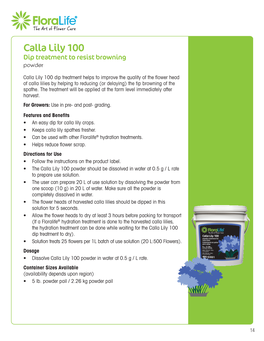 Calla Lily100