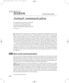 Animal Communication