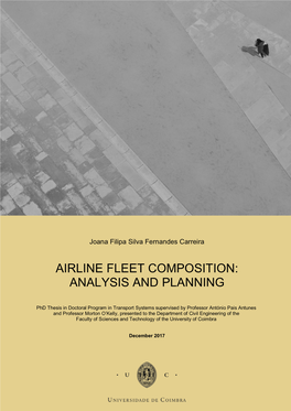 Airline Fleet Composition: Analysis and Planning