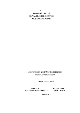 Fırat Üniversitesi Sosyal Bilimler Enstitüsü Müzik Anabilim Dalı Elazığ – 2015, Sayfa: VIII + 88