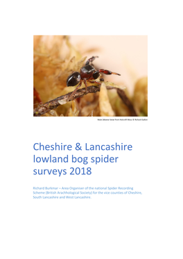 Cheshire & Lancashire Lowland Bog Spider Surveys 2018