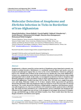 Molecular Detection of Anaplasma and Ehrlichia Infection in Ticks in Borderline of Iran-Afghanistan