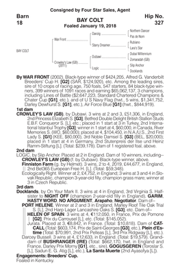 BAY COLT Barn 18 Hip No