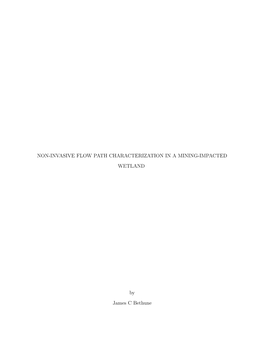 NON-INVASIVE FLOW PATH CHARACTERIZATION in a MINING-IMPACTED WETLAND by James C Bethune