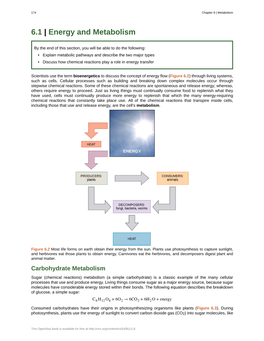 Energy and Metabolism