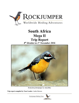 South Africa Mega II Trip Report 8Th October to 1St November 2016