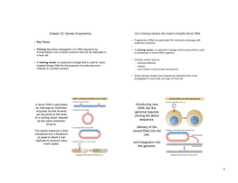 Introducing New DNA Into the Genome Requires Cloning the Donor