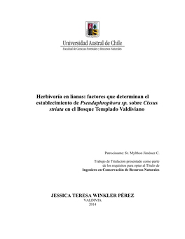 Herbivoría En Lianas: Factores Que Determinan El Establecimiento De Pseudaphrophora Sp