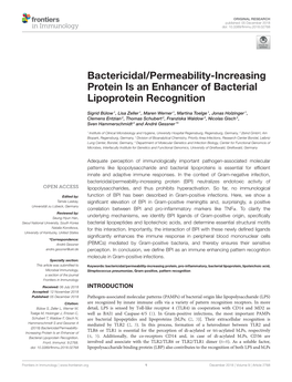 Bactericidal/Permeability-Increasing Protein Is an Enhancer of Bacterial Lipoprotein Recognition