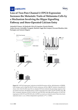 TPC2) Expression Increases the Metastatic Traits of Melanoma Cells by a Mechanism Involving the Hippo Signalling Pathway and Store-Operated Calcium Entry