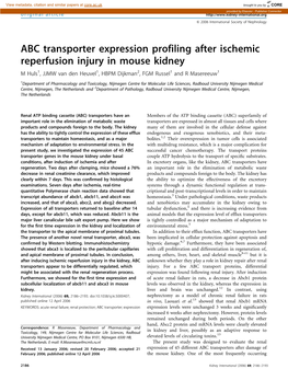 ABC Transporter Expression Profiling After Ischemic Reperfusion Injury in Mouse Kidney M Huls1, JJMW Van Den Heuvel1, HBPM Dijkman2, FGM Russel1 and R Masereeuw1