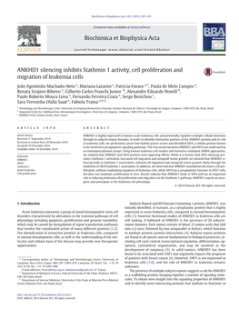 ANKHD1 Silencing Inhibits Stathmin 1 Activity, Cell Proliferation and Migration of Leukemia Cells