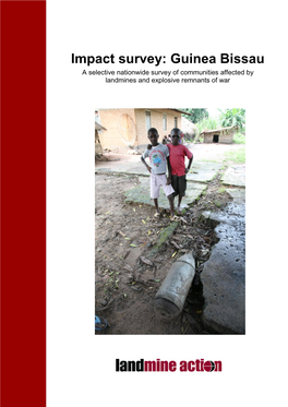 Impact Survey: Guinea Bissau