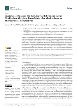 Imaging Techniques for the Study of Fibrosis in Atrial Fibrillation Ablation: from Molecular Mechanisms to Therapeutical Perspectives