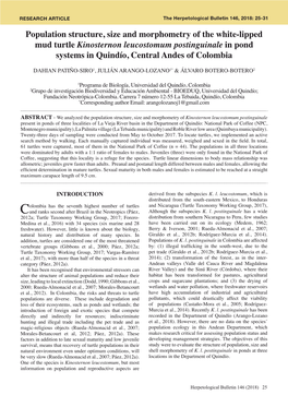 Population Structure, Size and Morphometry of the White-Lipped Mud Turtle Kinosternon Leucostomum Postinguinale in Pond Systems in Quindío, Central Andes of Colombia