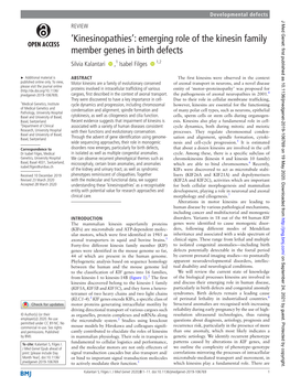 Emerging Role of the Kinesin Family Member Genes in Birth Defects Silvia Kalantari ‍ ,1 Isabel Filges ‍ 1,2