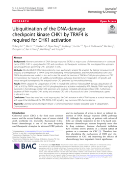 Ubiquitination of the DNA-Damage Checkpoint Kinase CHK1 by TRAF4