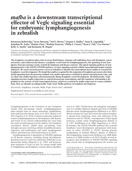 Mafba Is a Downstream Transcriptional Effector of Vegfc Signaling Essential for Embryonic Lymphangiogenesis in Zebrafish