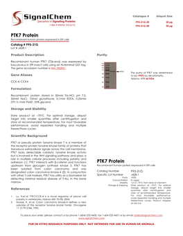 PTK7 Protein PTK7 Protein