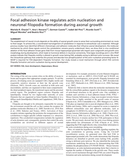Focal Adhesion Kinase Regulates Actin Nucleation and Neuronal Filopodia Formation During Axonal Growth Mariola R