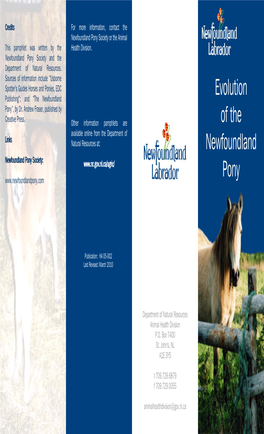 Evolution of the Newfoundland Pony