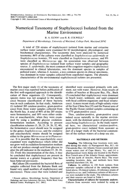 Numerical Taxonomy of Staphylococci Isolated from the Marine Environment