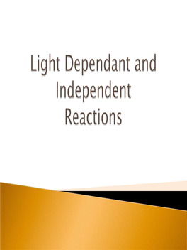 Light Dependant Reactions