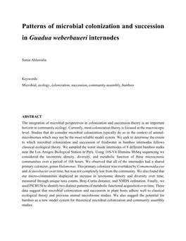 Patterns of Microbial Colonization and Succession in Guadua Weberbaueri Internodes