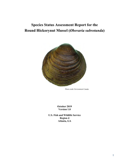 Species Status Assessment Report for the Round Hickorynut Mussel (Obovaria Subrotunda)