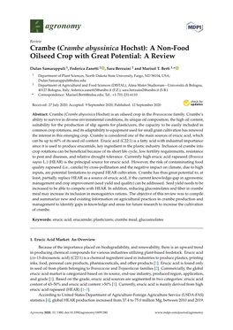 Crambe (Crambe Abyssinica Hochst): a Non-Food Oilseed Crop with Great Potential: a Review