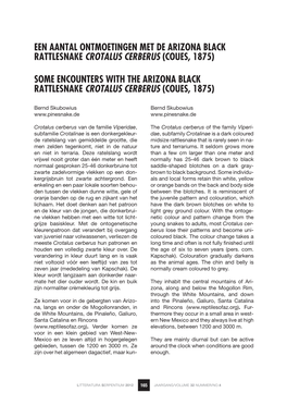 Een Aantal Ontmoetingen Met De Arizona Black Rattlesnake Crotalus Cerberus (Coues, 1875)