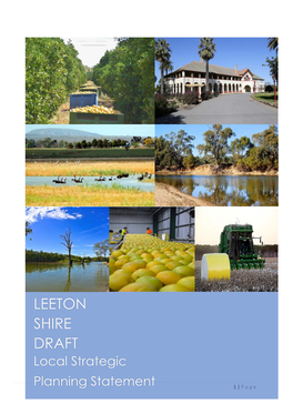 LEETON SHIRE DRAFT Local Strategic