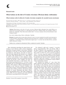 Observations on the Diet of Crotalus Triseriatus (Mexican Dusky Rattlesnake)