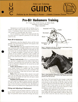 Pre-Bit Hackamore Training B