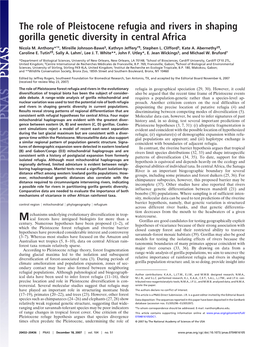 The Role of Pleistocene Refugia and Rivers in Shaping Gorilla Genetic Diversity in Central Africa