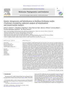 Trachemys) Revealed by Coalescent Analyses of Mitochondrial and Cloned Nuclear Markers ⇑ James F