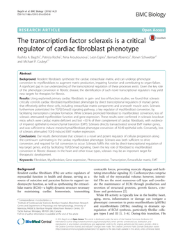The Transcription Factor Scleraxis Is a Critical Regulator of Cardiac Fibroblast Phenotype Rushita A