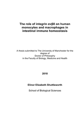 The Role of Integrin Αvβ8 on Human Monocytes and Macrophages in Intestinal Immune Homeostasis