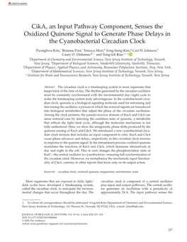 Cika, an Input Pathway Component, Senses the Oxidized Quinone Signal to Generate Phase Delays in the Cyanobacterial Circadian Clock