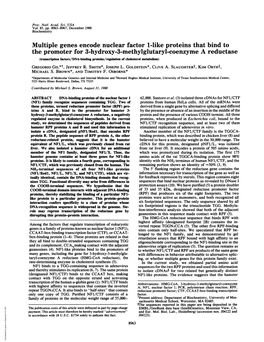 Multiple Genes Encode Nuclear Factor 1-Like Proteins That Bind To