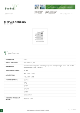 MRPL32 Antibody Cat