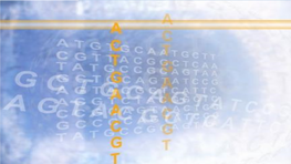 Population Genetics and Molecular Evolution - Session 1