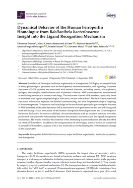 Dynamical Behavior of the Human Ferroportin Homologue from Bdellovibrio Bacteriovorus: Insight Into the Ligand Recognition Mechanism